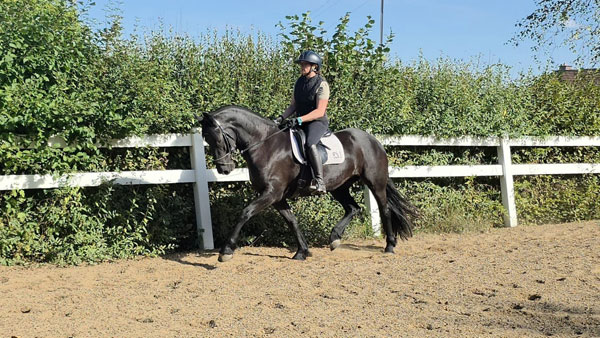 3j fr Stut Gosse x xHessel 24 09 26 2 600