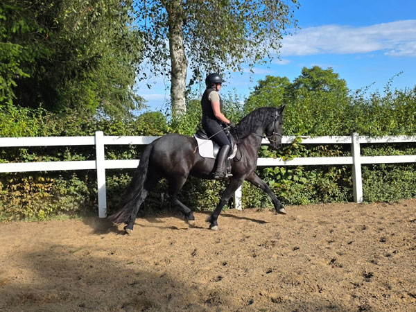 3j fr Stut Gosse x xHessel 24 09 26 3 600