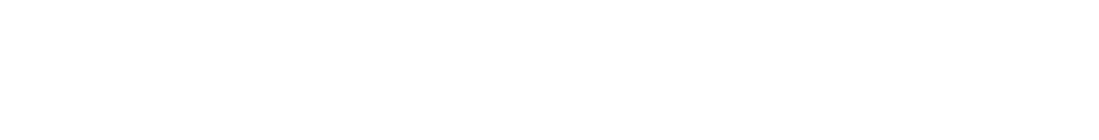 debuylinsurance