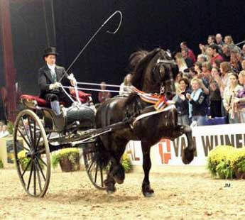 hengst onne