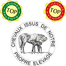 top elevage