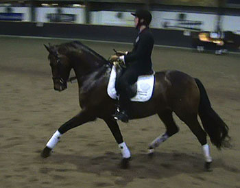 zb350